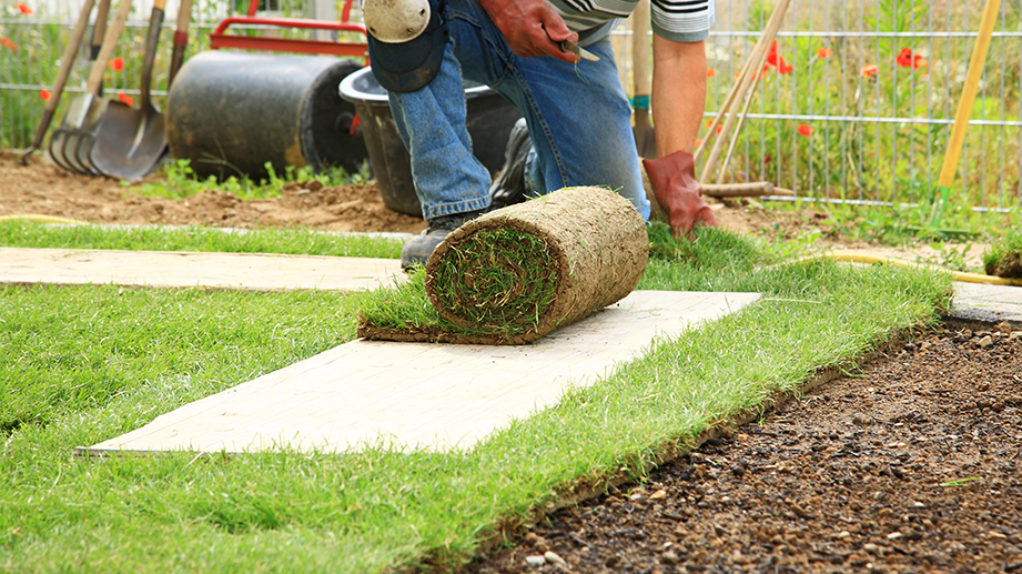 New Lawn & Topsoil